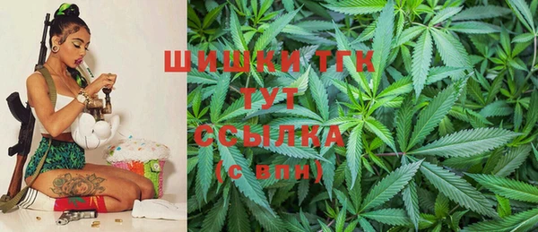 стаф Арсеньев