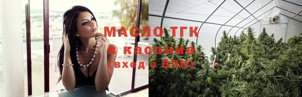 стаф Арсеньев
