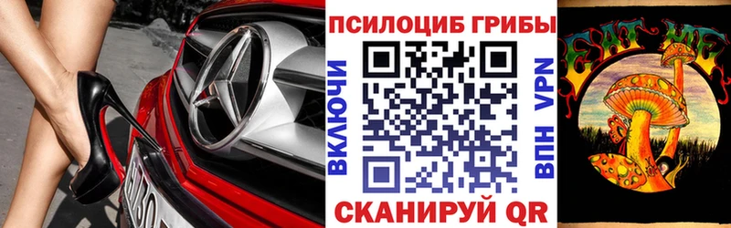 Галлюциногенные грибы Cubensis  Камышлов 